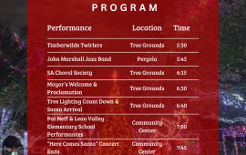 Tree Lighting Program
