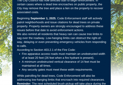 letter to residents of enforcement date reminder for dead tree removal