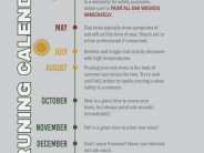 image of pruning calendar for oak wilt prevention