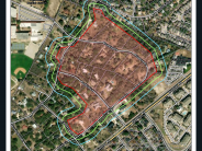 image of map of Bluebird 2 area showing zones of oak wilt diseased areas