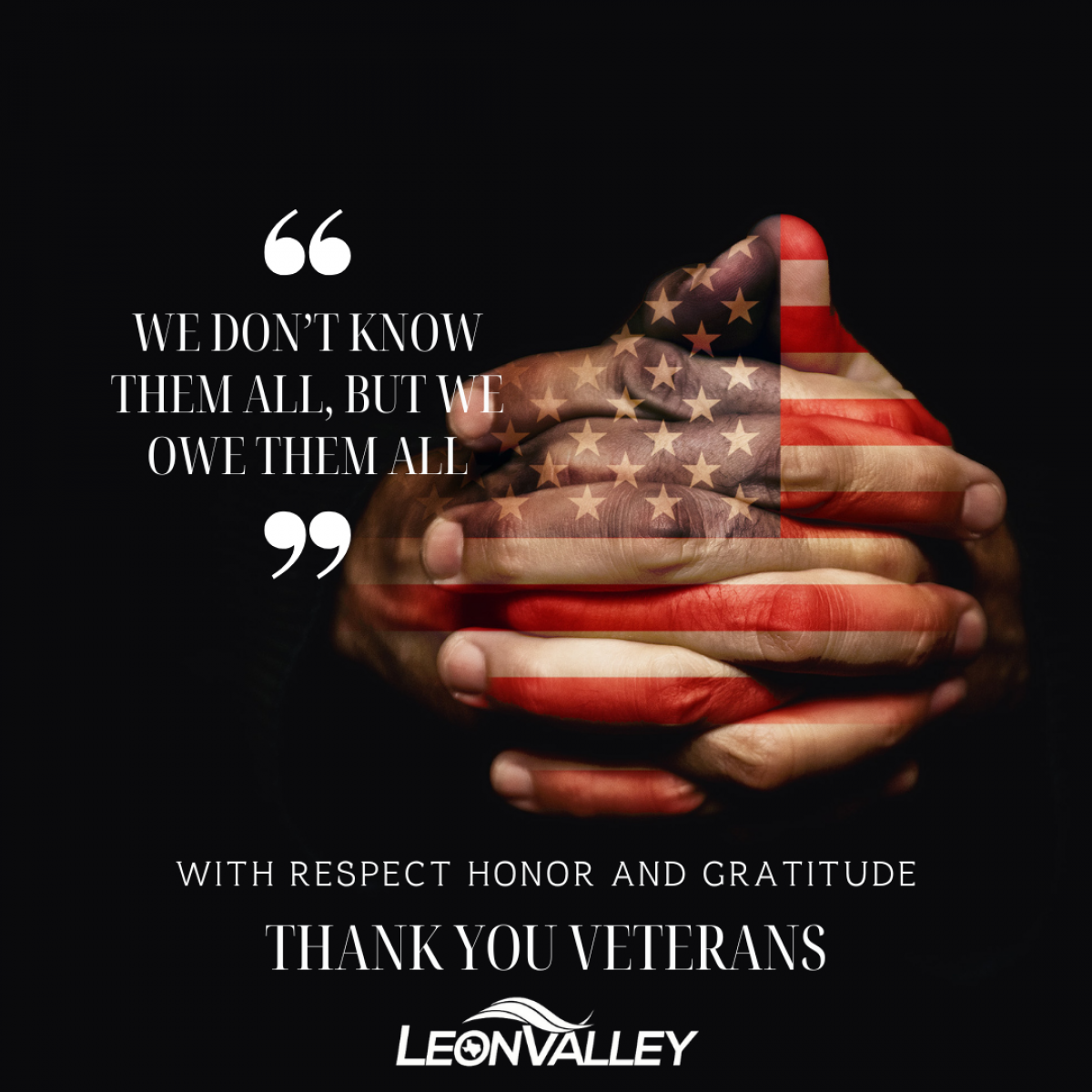 Veterans Day image