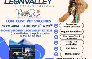 Penny Paws Low Cost Pet Vaccine Drive Flyer