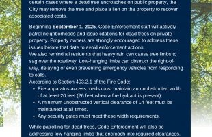 letter to residents of enforcement date reminder for dead tree removal