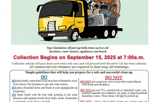 Fall Bulk Clean Up Flyer with image of dump truck filled with items and details of items accepted and not accepted
