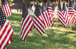 Image of multiple United States flags staked in green grass
