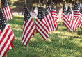 Image of multiple United States flags staked in green grass